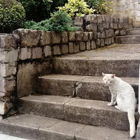 Chez Benat * Англе